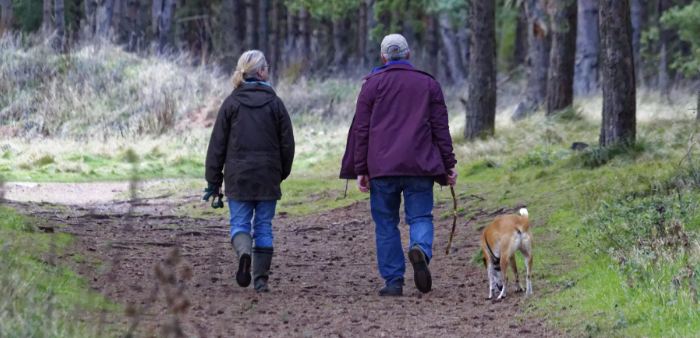 The Health Benefits of Walking