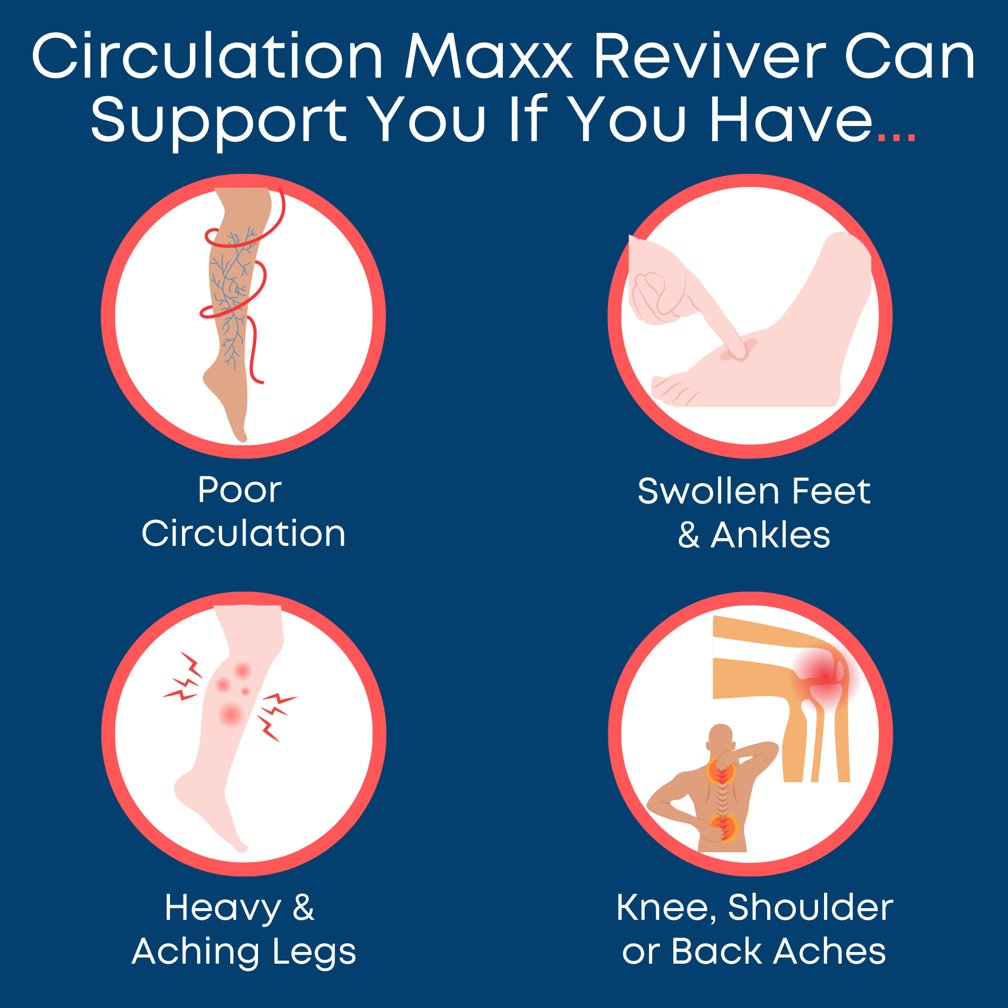 Reconditioned Circulation Maxx Reviver