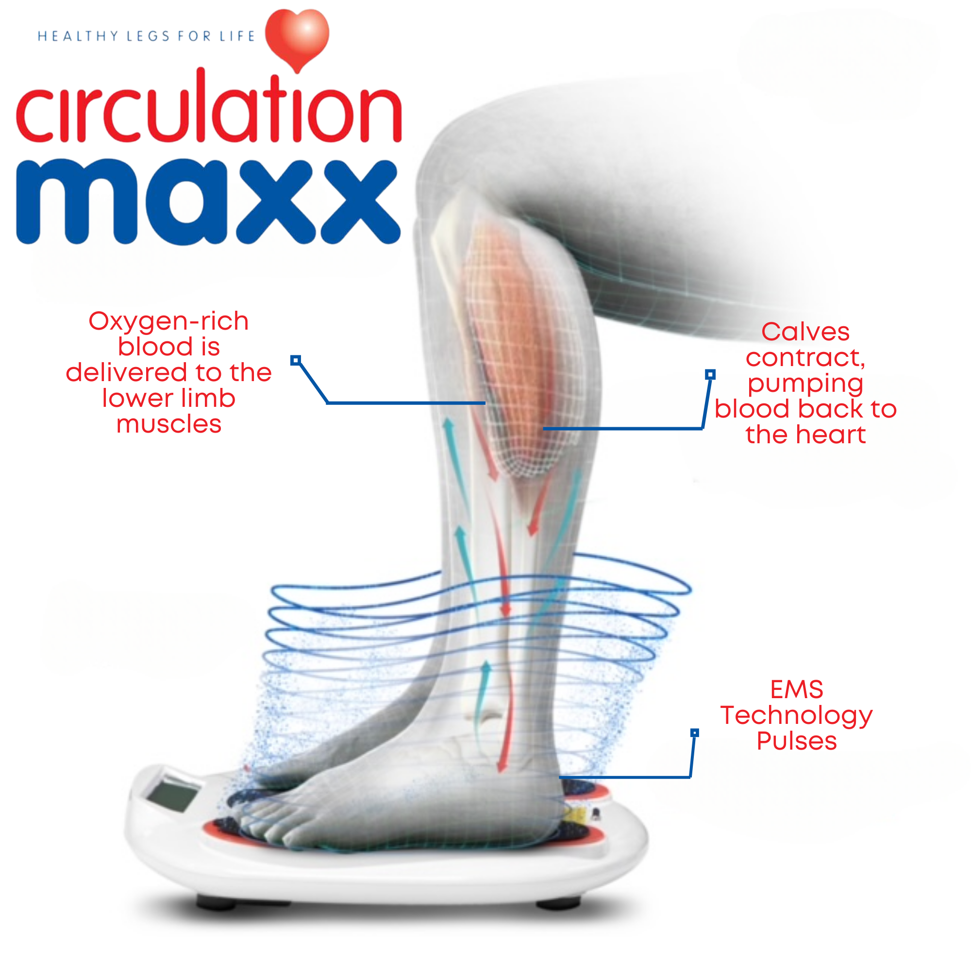 Reconditioned Circulation Maxx Reviver